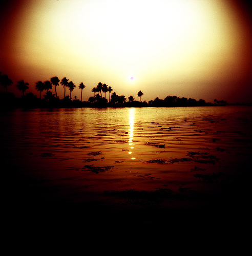 photo credit: <a href="http://www.flickr.com/photos/jamarshall/352571056/">J.Marshall</a> via <a href="http://photopin.com">photo pin</a> <a href="http://creativecommons.org/licenses/by-nc-nd/2.0/">cc</a>