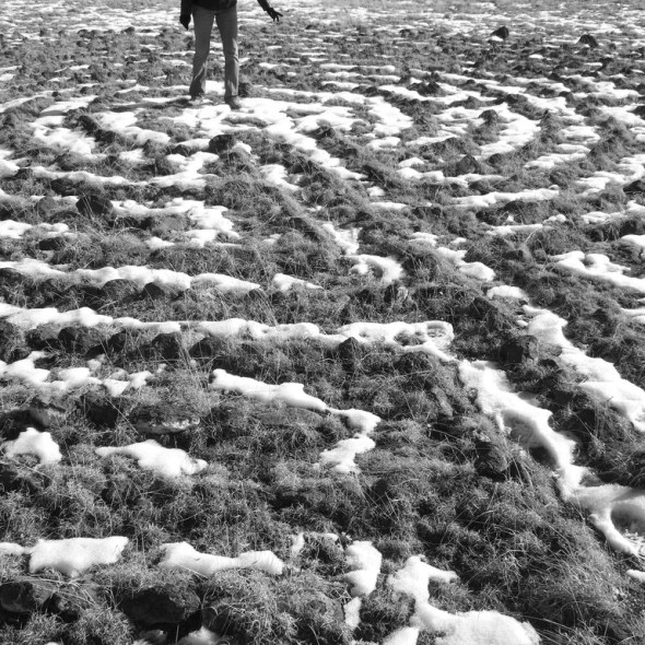 photo credit: jared via photopin cc