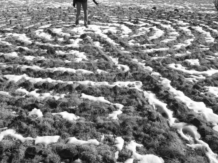 photo credit: <a href="http://www.flickr.com/photos/generated/2139083518/">jared</a> via <a href="http://photopin.com">photopin</a> <a href="http://creativecommons.org/licenses/by/2.0/">cc</a>