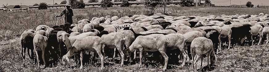 Emilio García-Miguel Cobo "Toeles"