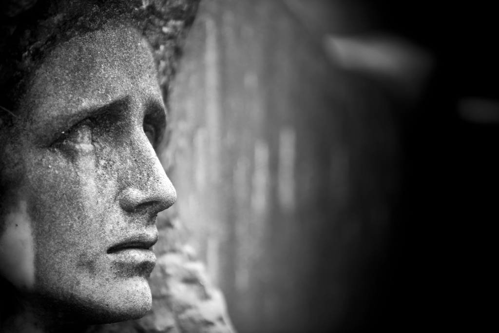 photo credit: <a href="http://www.flickr.com/photos/concellon/9034921715/">Chema Concellon</a> via <a href="http://photopin.com">photopin</a> <a href="http://creativecommons.org/licenses/by-nc-nd/2.0/">cc</a>