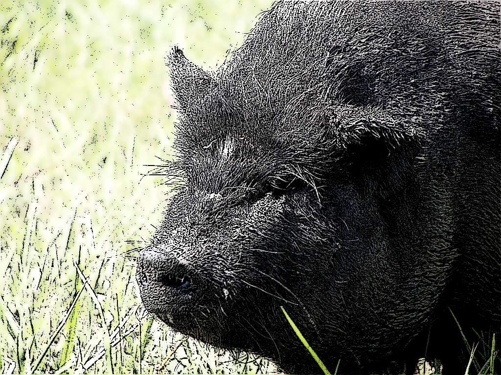 Desde una foto en http://www.flickr.com/photos/33401860@N00/1556576401