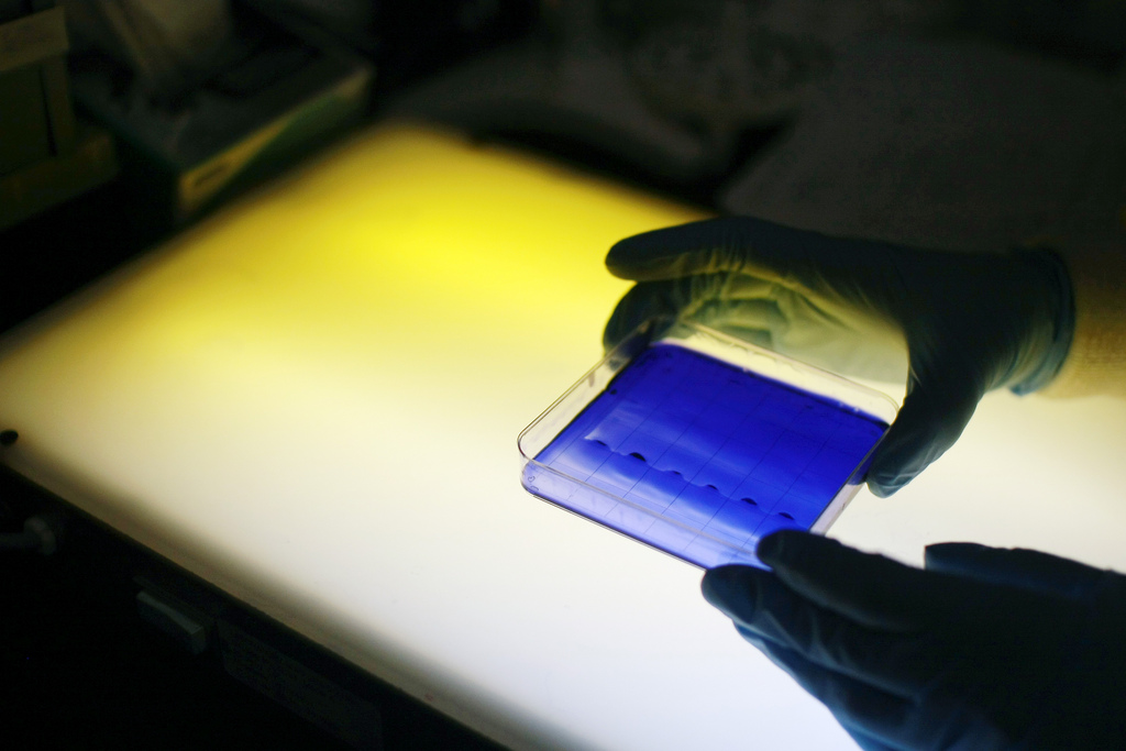 4740276870_d991bd8d33_b